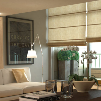 Light Filter Roman Blind